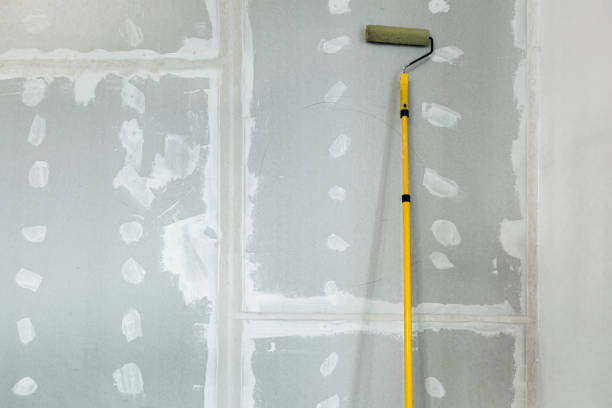 Professional Drywall & Painting Services in Shafer, MN